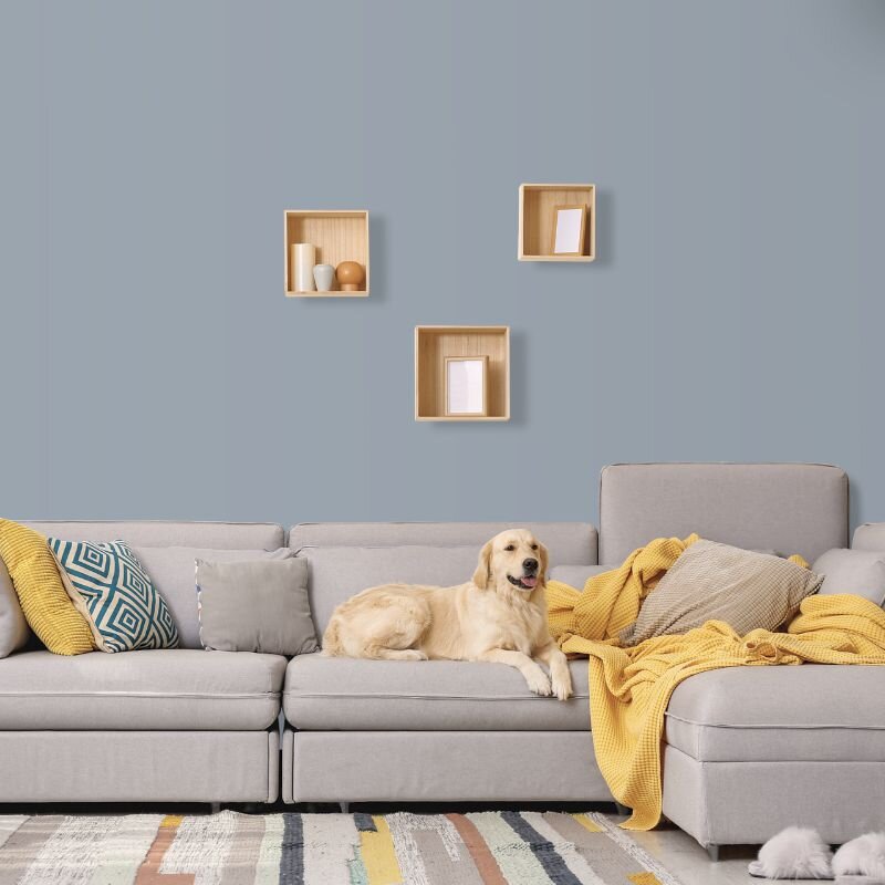 Wandfarbe Taubengrau Graublau Light 1D Wallcover Colors S 3010-B10G