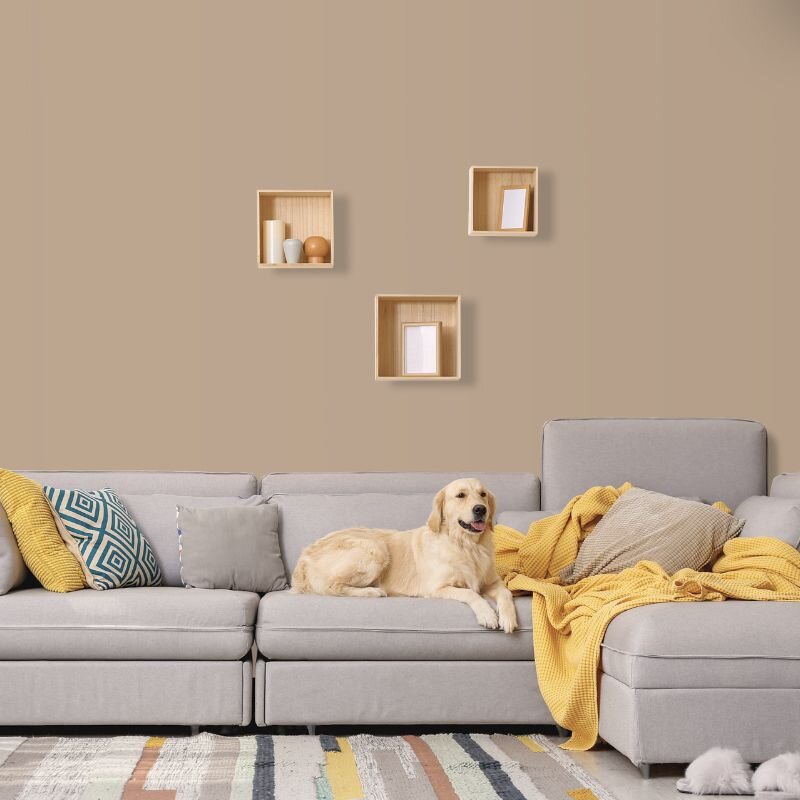 Wandfarbe Greige Graubraun Gobi 5B Wallcover Colors S 3010-Y20R