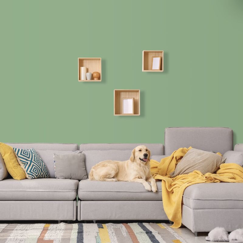 Wandfarbe Hellgrün Pastellgrün St. Patrick 4D Wallcover Colors S 3020-G20Y