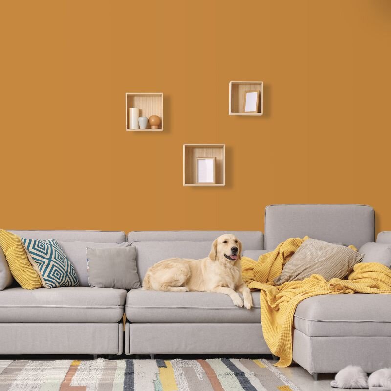 Wandfarbe Braunorange Orange-Braun Kalahari 4F Wallcover Colors S 3040-Y30R