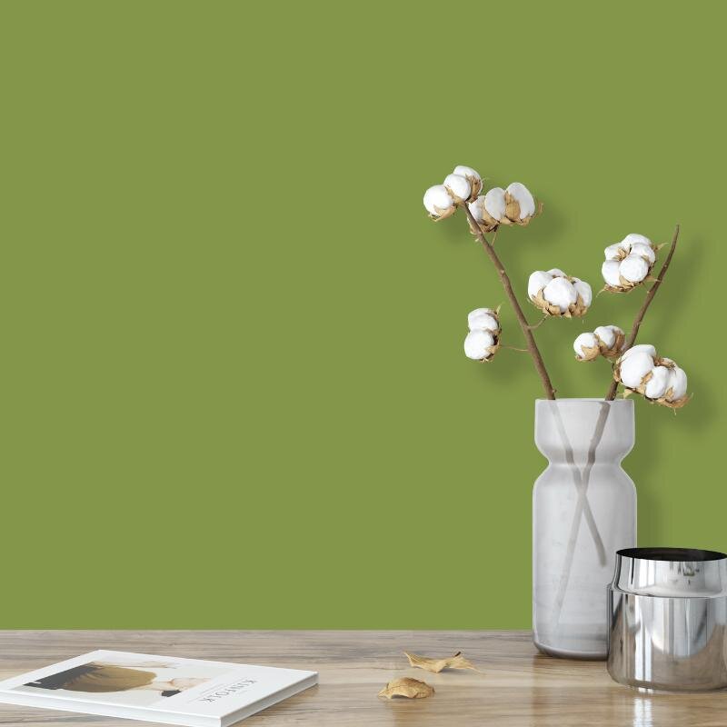 Wandfarbe Hellgrün Kilkenny 4F Wallcover Colors S 3050-G50Y