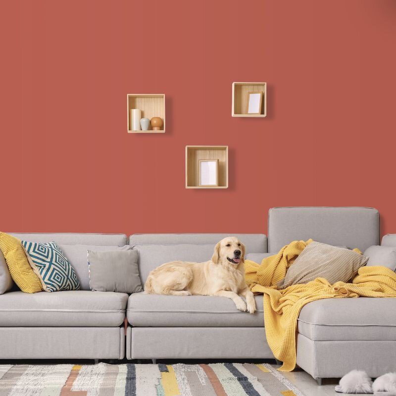 Wandfarbe Rot-Braun Palermo 3E Wallcover Colors S 3050-Y90R