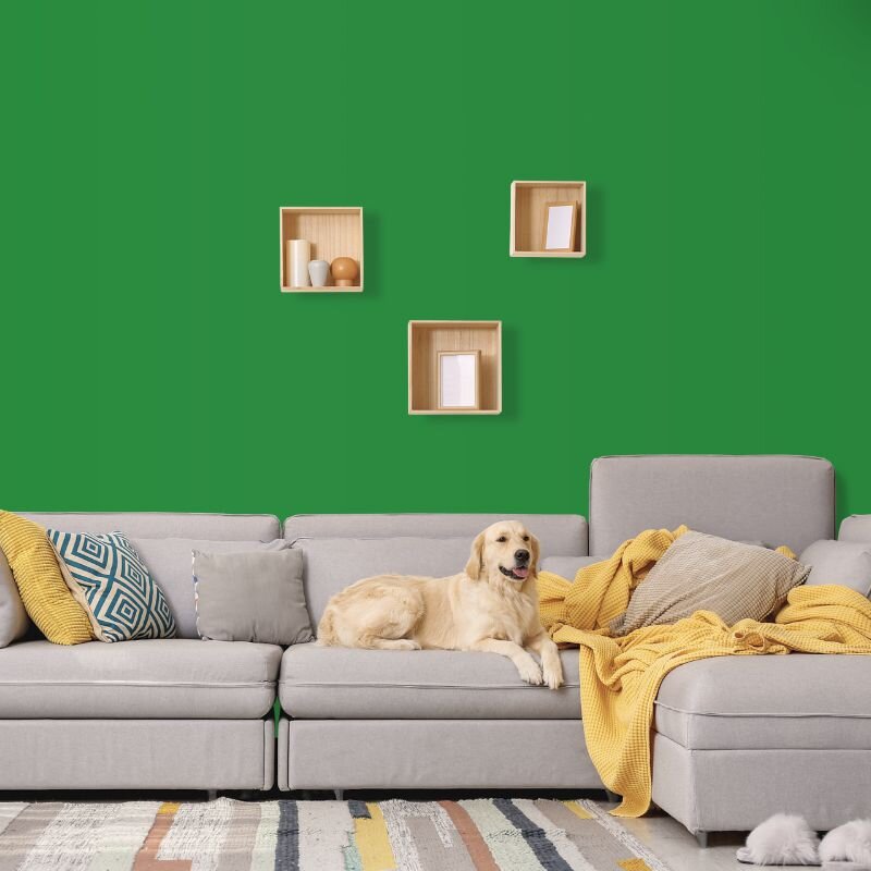 Wandfarbe Grün Dublin 2F Wallcover Colors S 3060-G20Y