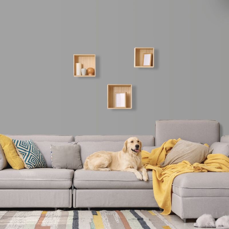 Wandfarbe Hellgrau Moon 1F Wallcover Colors S 3502-B