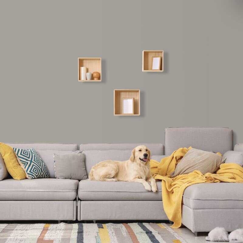 Wandfarbe Graugrün Grau-Grün Moon 3C Wallcover Colors S 3502-G50Y