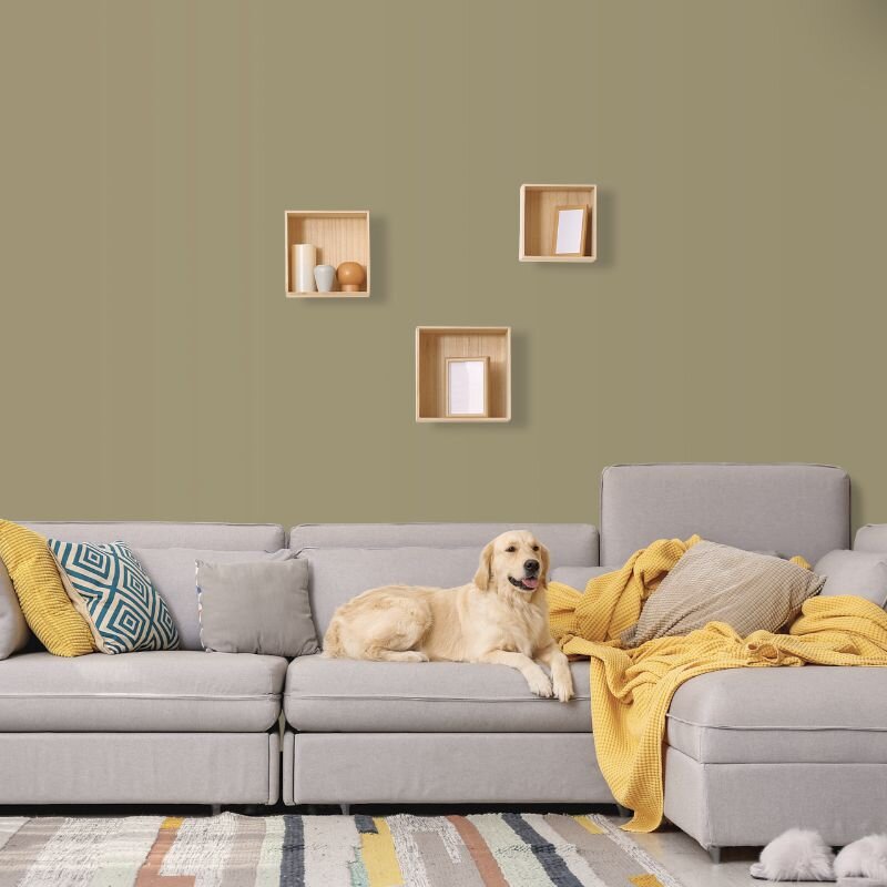 Wandfarbe Olivgrau Khaki Schlamm Carnegia 5E Wallcover Colors S 4020-G90Y