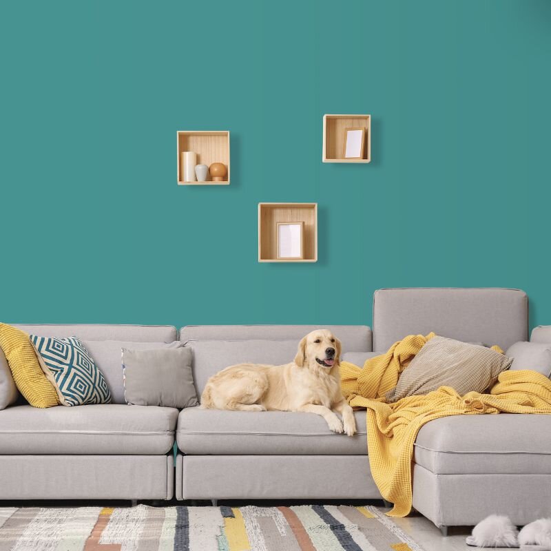 Wandfarbe Türkis-Blau Aqua Guadeloupe 3F Wallcover Colors S 4030-B30G