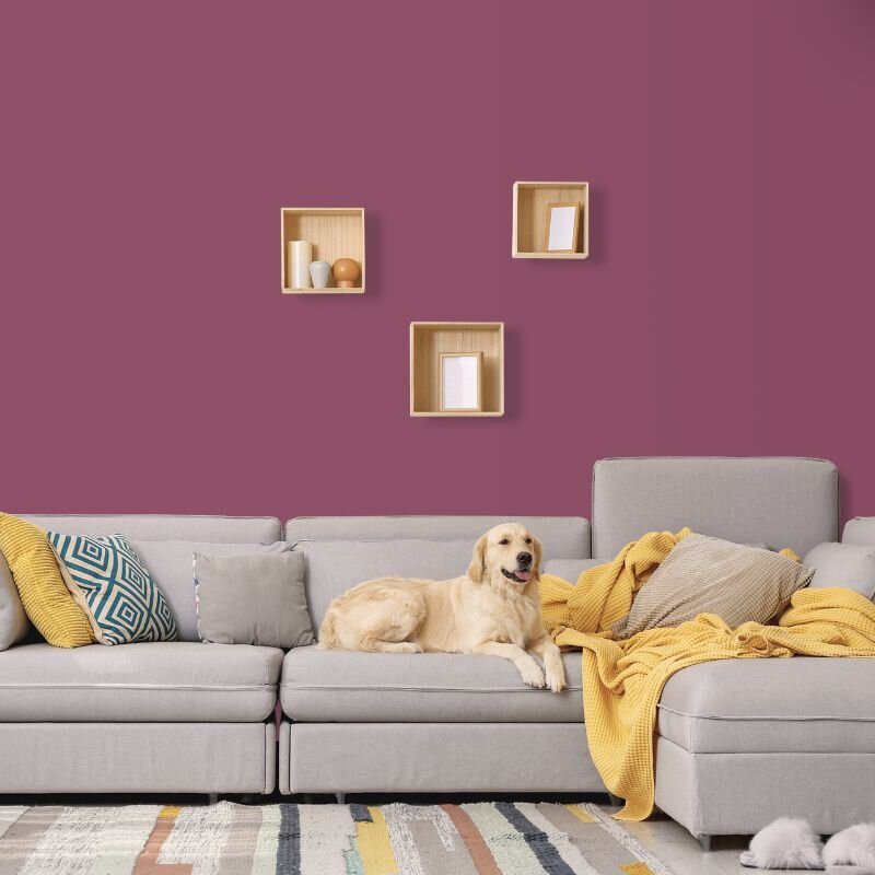 Wandfarbe Purpur Aubergine Portobello 4E Wallcover Colors S 4040-R30B