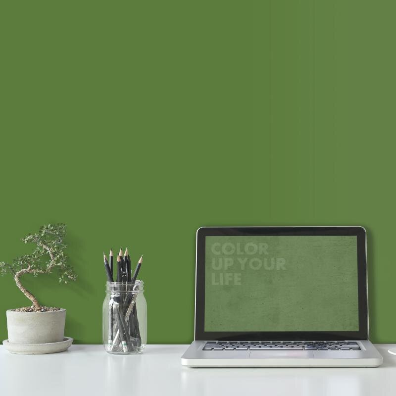 Wandfarbe Grün Grasgrün Donegal 4F Wallcover Colors S 4050-G30Y