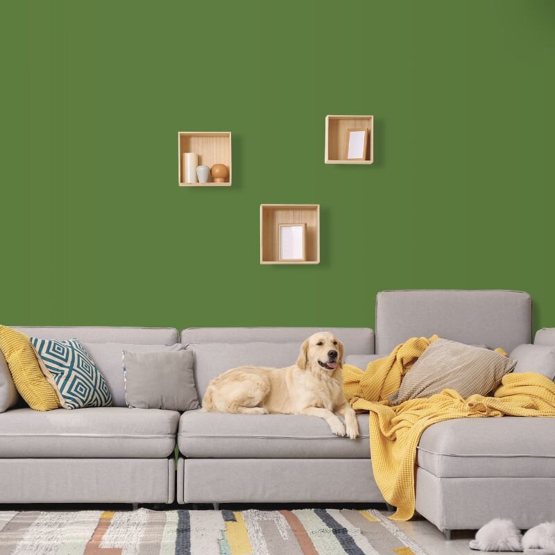 Wandfarbe Grün Grasgrün Donegal 4F Wallcover Colors S 4050-G30Y