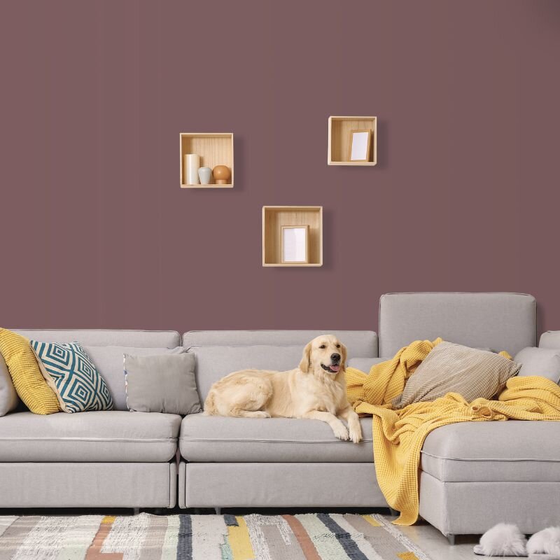 Wandfarbe Mauve Malve Violett Piccadilly 5E Wallcover Colors S 5020-R10B