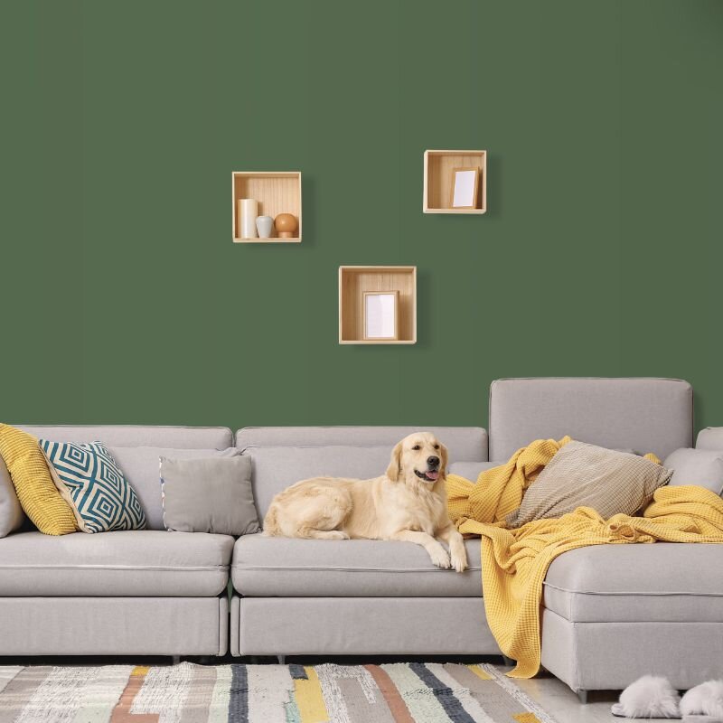 Wandfarbe Grün-Grau Kale Green Dublin 5E Wallcover Colors S 5030-G30Y