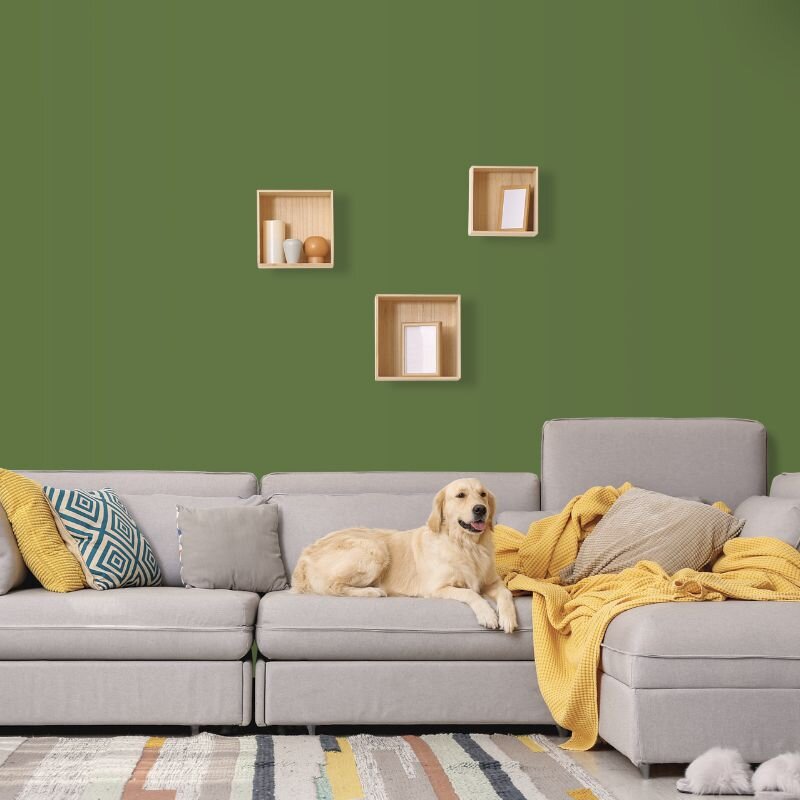 Wandfarbe Dunkelgrün Olivgrün Donegal 5F Wallcover Colors S 5030-G50Y