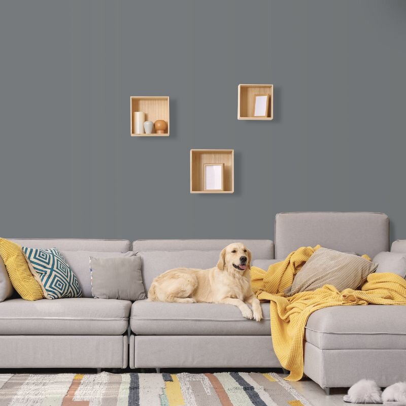 Wandfarbe Grau Moon 6B Wallcover Colors S 5502-B