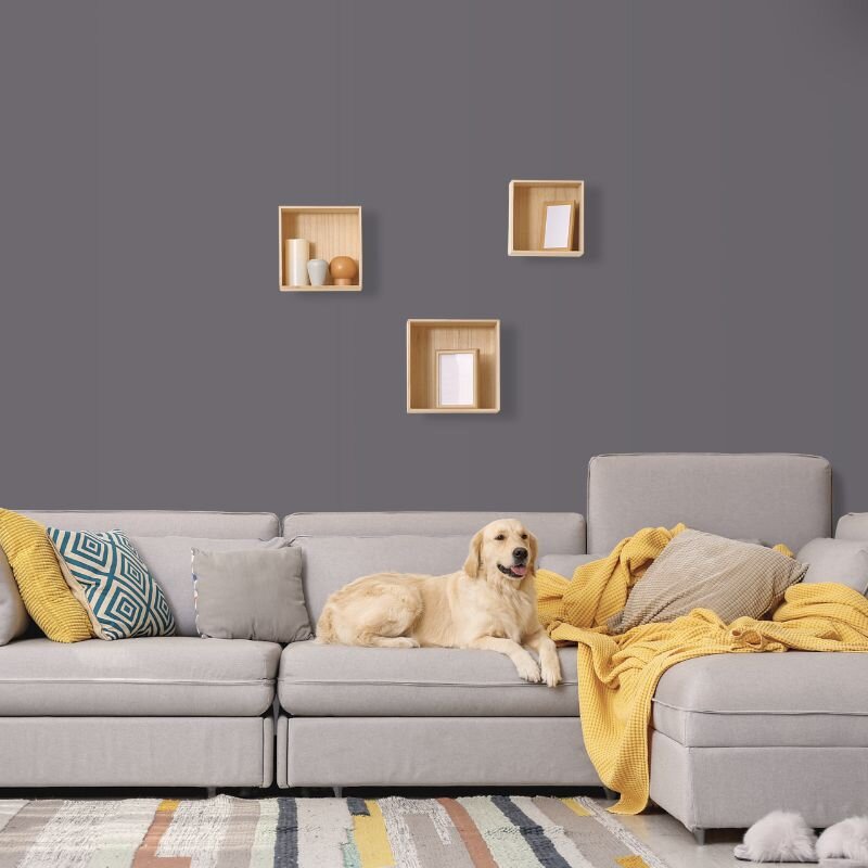 Wandfarbe Dunkelgrau Shadow 4E Wallcover Colors S 6005-R20B