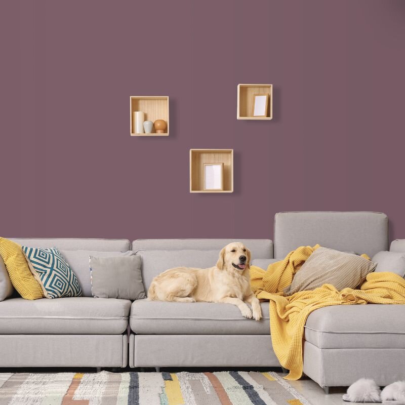 Wandfarbe Purpur Violett Portobello 5E Wallcover Colors S 6010-R10B