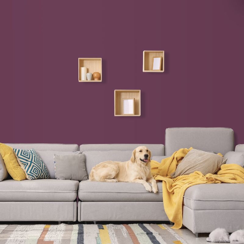 Wandfarbe Lila Violett Carnaby 4F Wallcover Colors S 6020-R30B