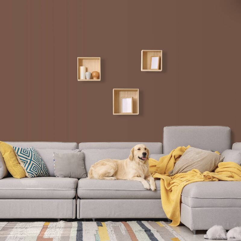 Wandfarbe Braun Erde Earth 2D Wallcover Colors S 6020-Y90R