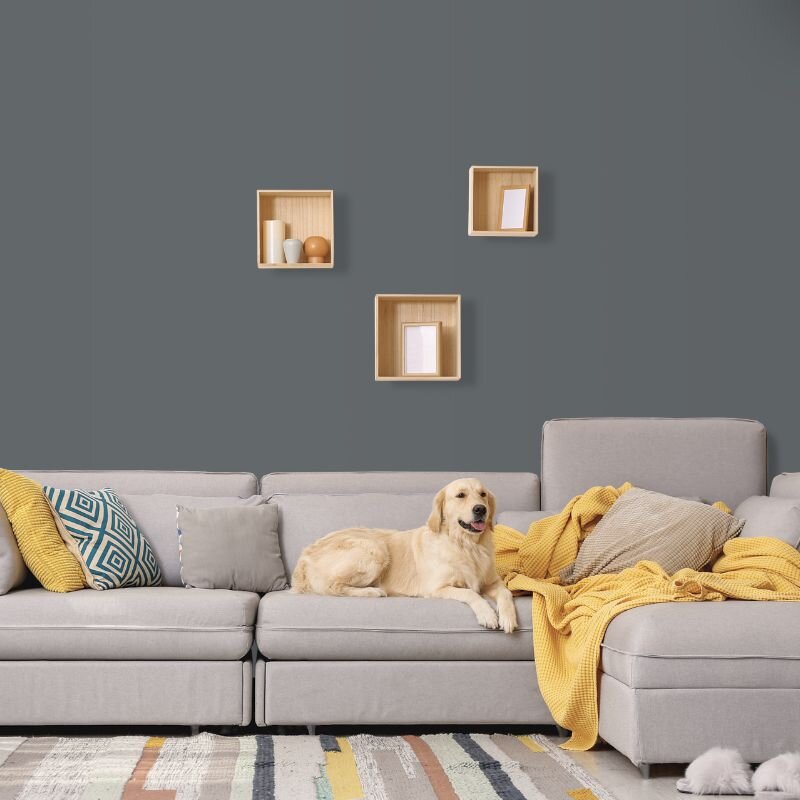 Wandfarbe Grau Schiefergrau Moon 6C Wallcover Colors S 6502-B