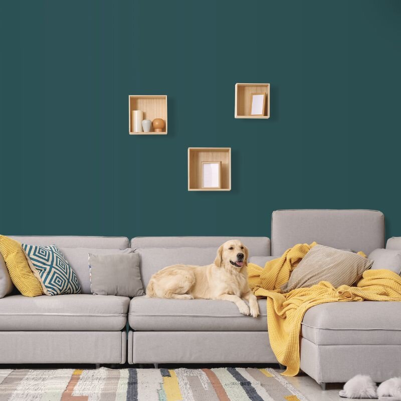 Wandfarbe Teal Petrol Blaugrün Margarita 5F Wallcover Colors S 7010-B30G