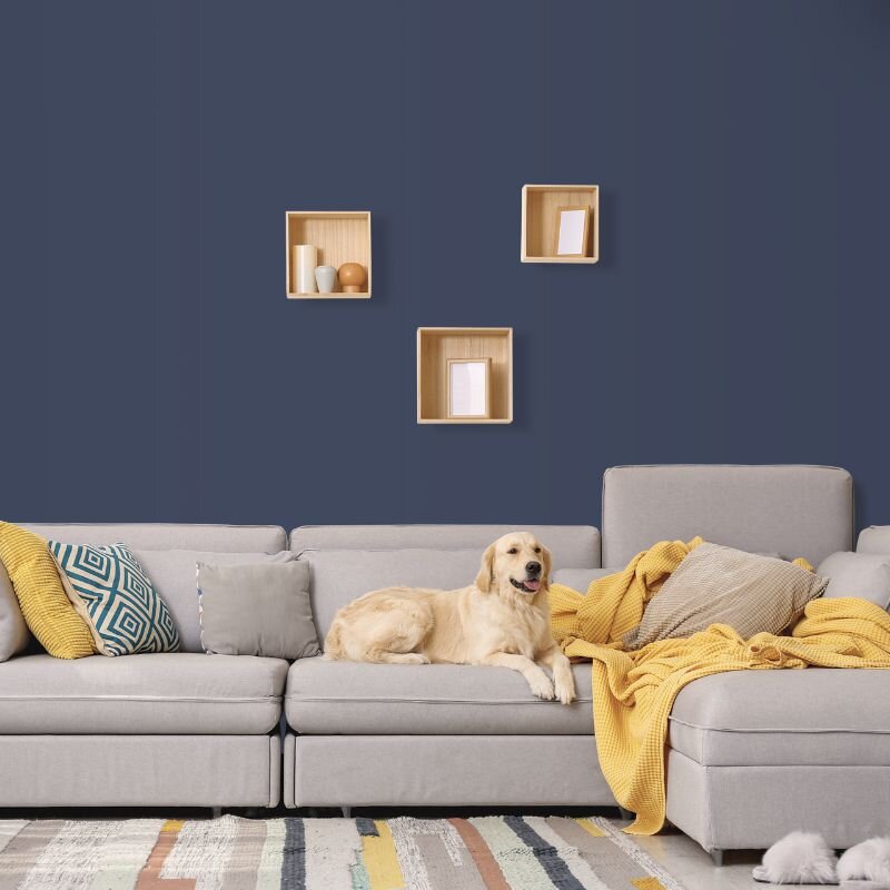 Wandfarbe Marine Navy Blau Atlantik 5F Wallcover Colors S 7010-R70B