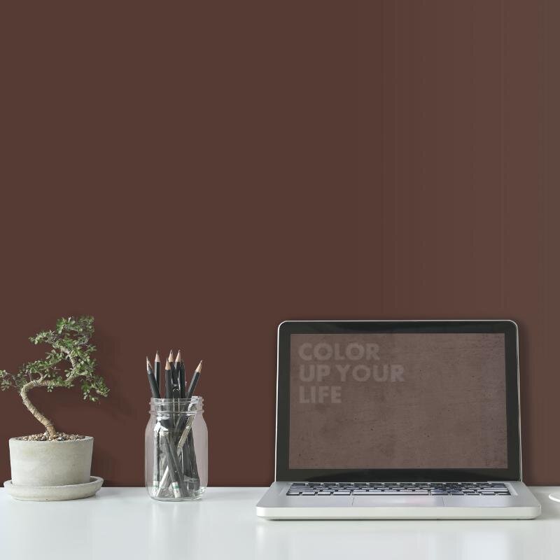 Wandfarbe Dunkelbraun Erde Earth 2F Wallcover Colors S 7010-Y70R