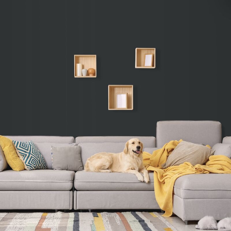 Wandfarbe Grau Schwarzgrau Moon 6F Wallcover Colors S 8005-B80G