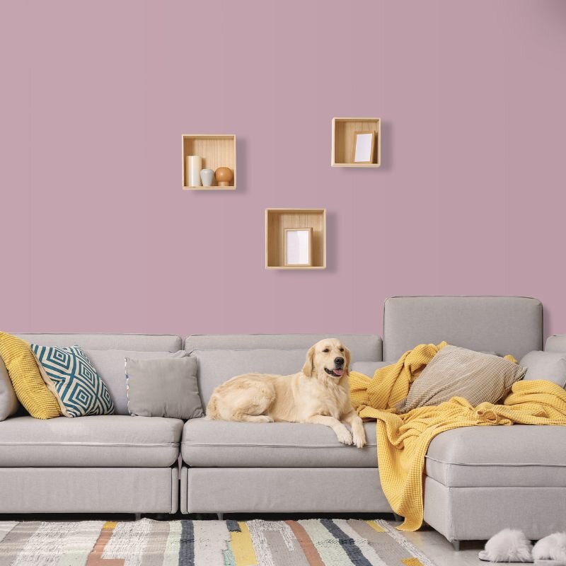 Wandfarbe Rosé Flieder English Rose 5C Wallcover Colors S 3010-R10B 1 Liter