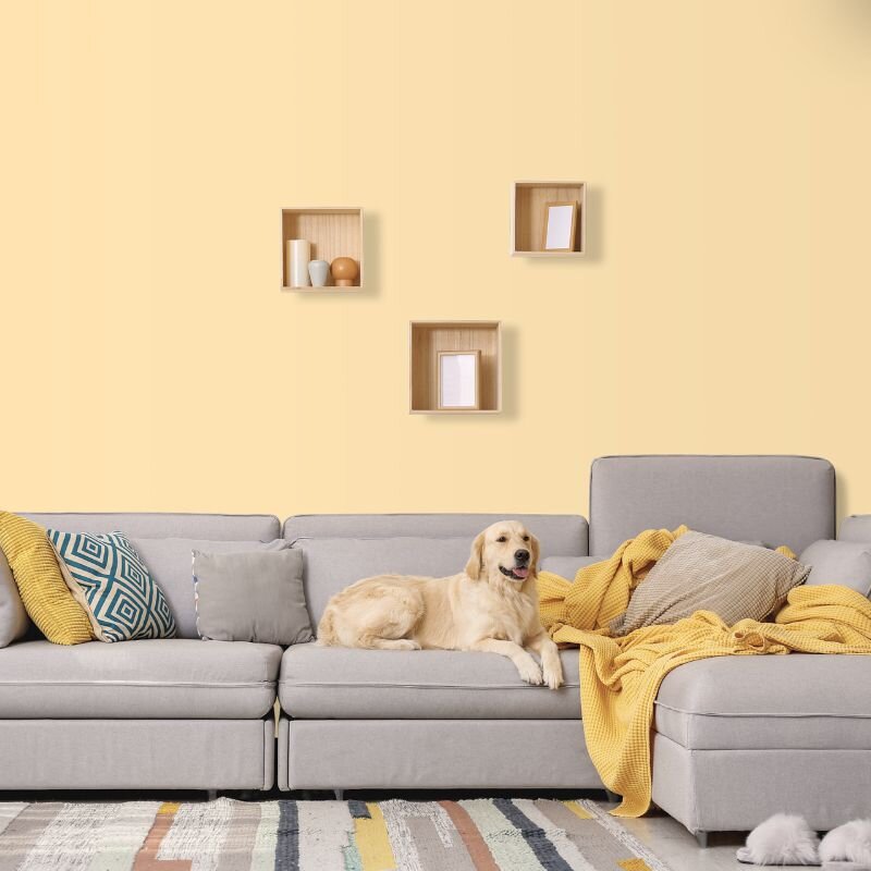 Wandfarbe Sand Beige Creme Kalahari 2A Wallcover Colors S 0520-Y30R 2,5 Liter