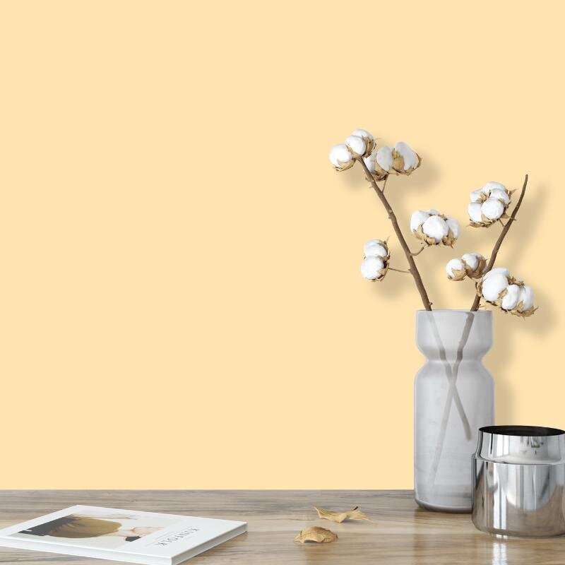 Wandfarbe Sand Beige Creme Kalahari 2A Wallcover Colors S 0520-Y30R 2,5 Liter