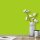 Wandfarbe Hellgrün Frühlingsgrün Donegal 1E Wallcover Colors S 0575-G40Y 2,5 Liter