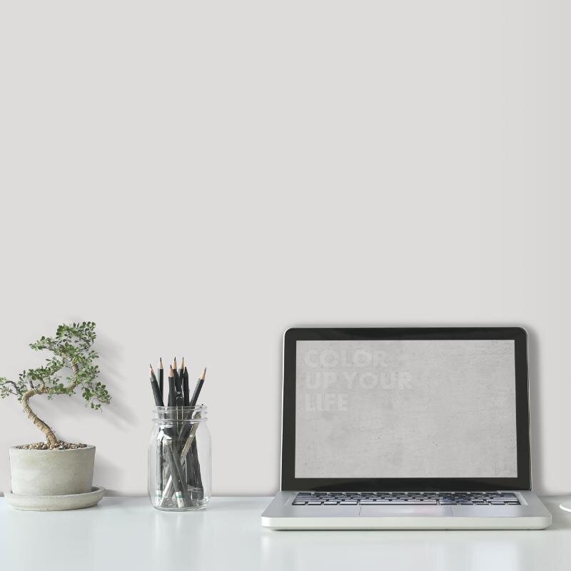 Wandfarbe Hellgrau Lichtgrau Moon 1A Wallcover Colors S 1000-N 2,5 Liter