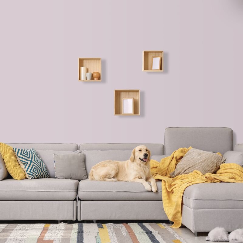 Wandfarbe Rosé Pastell English Rose 5B Wallcover Colors S 1510-R40B 2,5 Liter