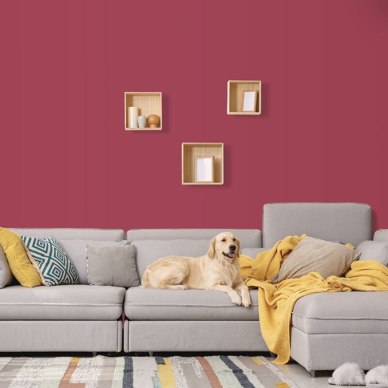 Wandfarbe Bordeaux-Rot Weinrot Kensington 3F Wallcover Colors S 1575-R10B 2,5 Liter