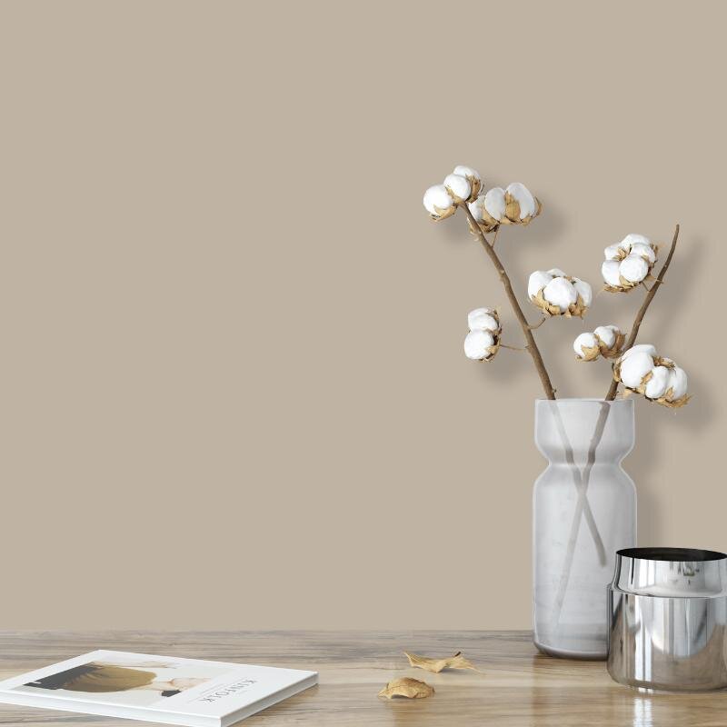 Wandfarbe Greige Sand-Grau Shadow 6B Wallcover Colors S 3005-Y20R 2,5 Liter