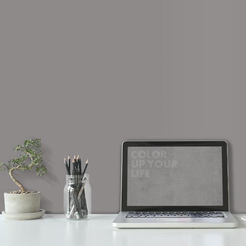 Wandfarbe Grau Moon 2E Wallcover Colors S 5000-N 2,5 Liter