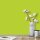 Wandfarbe Hellgrün Frühlingsgrün Donegal 1D Wallcover Colors S 0565-G50Y 5 Liter