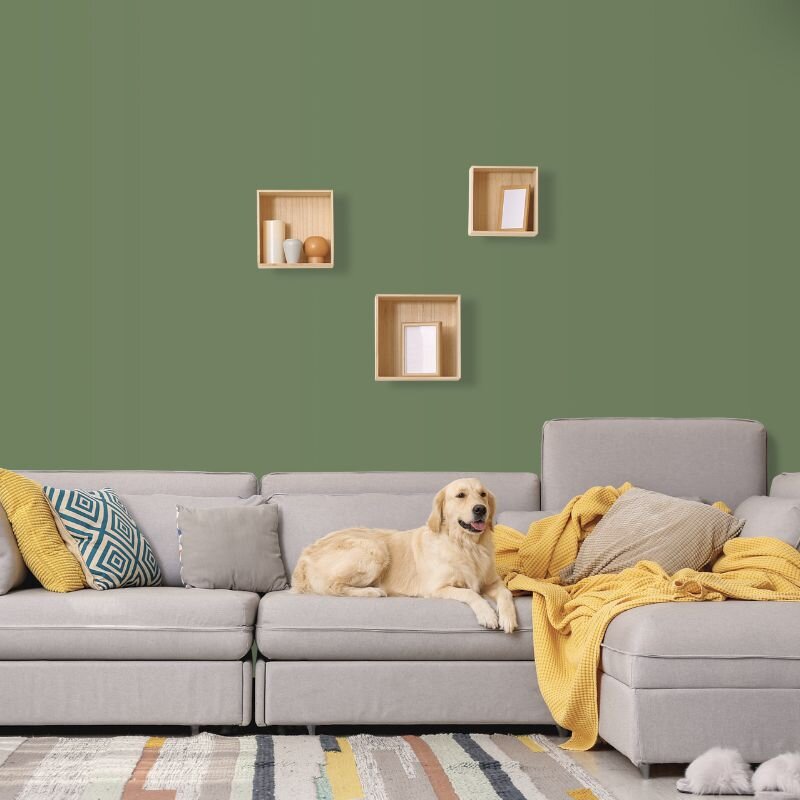 Wandfarbe Dunkelgrün Olivgrün Donegal 5E Wallcover Colors S 5020-G30Y 5 Liter