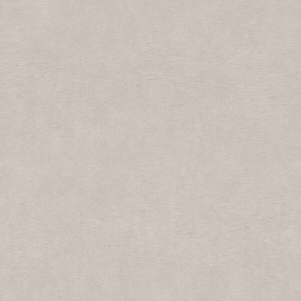 Tapete Grau Rasch Vliestapete (330076)
