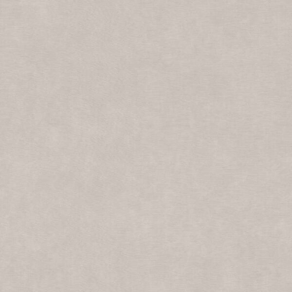 Tapete Grau Rasch Vliestapete (330076)