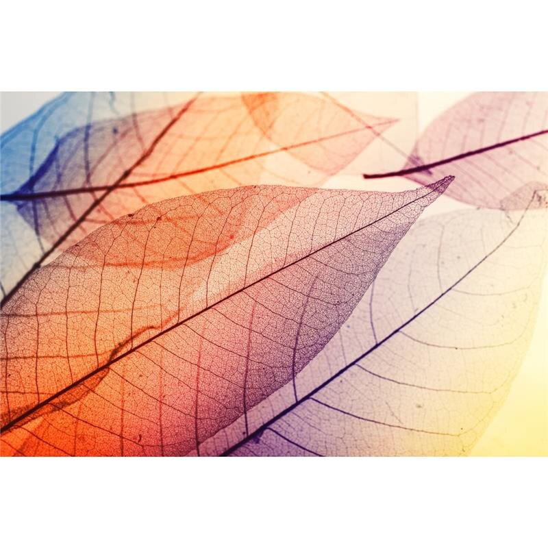 A.S. Création Leinwandbild LimpidLeaf1 Größe 90cm x 60cm