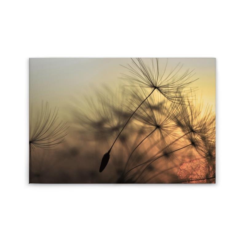 A.S. Création Leinwandbild FlyingDandelion2 Größe 90cm x 60cm