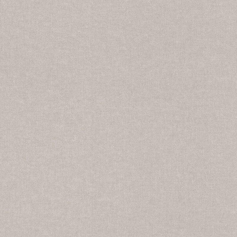 Tapete Grau Rasch Vliestapete (252859)