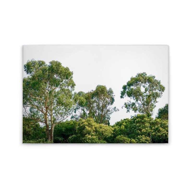 A.S. Création Leinwandbild Treetop Größe 90cm x 60cm