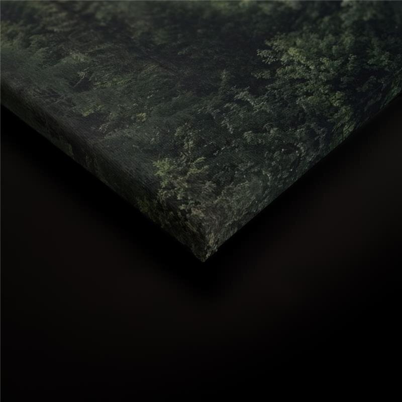 A.S. Création Leinwandbild FoggyFirTrees Größe 90cm x 60cm