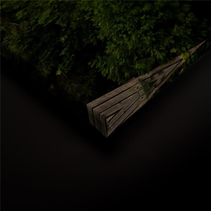 A.S. Création Leinwandbild MountainViews Größe 90cm x 60cm