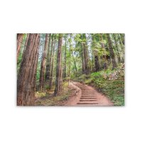 A.S. Création Leinwandbild ForestWalk1...