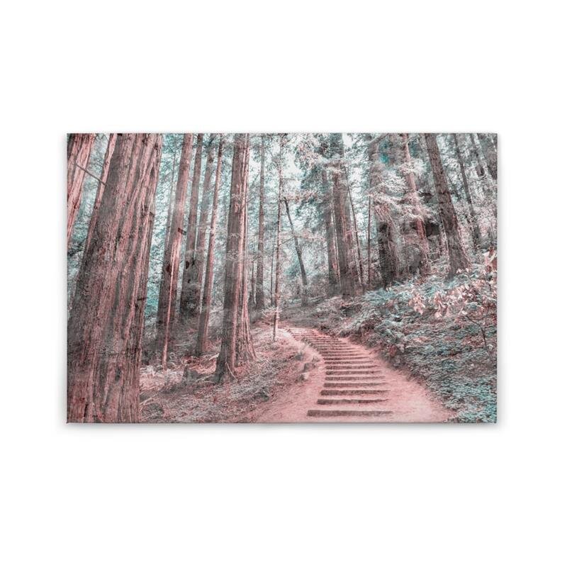 A.S. Création Leinwandbild ForestWalk2 Größe 90cm x 60cm