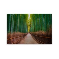 A.S. Cr&eacute;ation Leinwandbild BambusWalk...