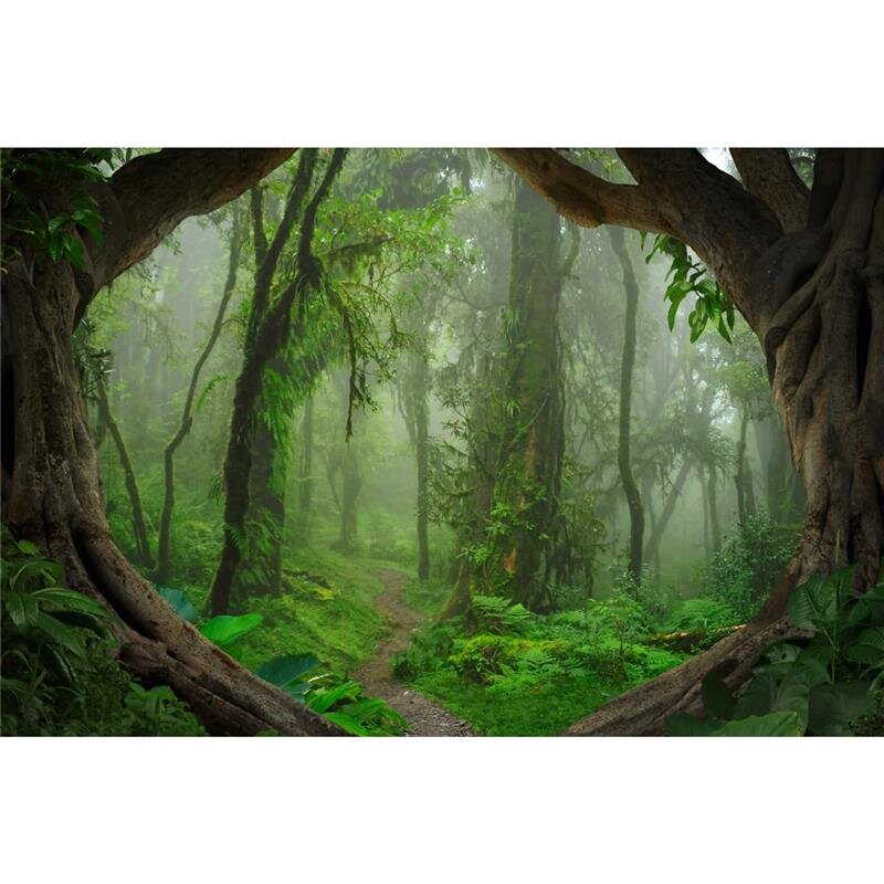 A.S. Création Leinwandbild TropicalForest Größe 90cm x 60cm